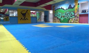 Dream Gym