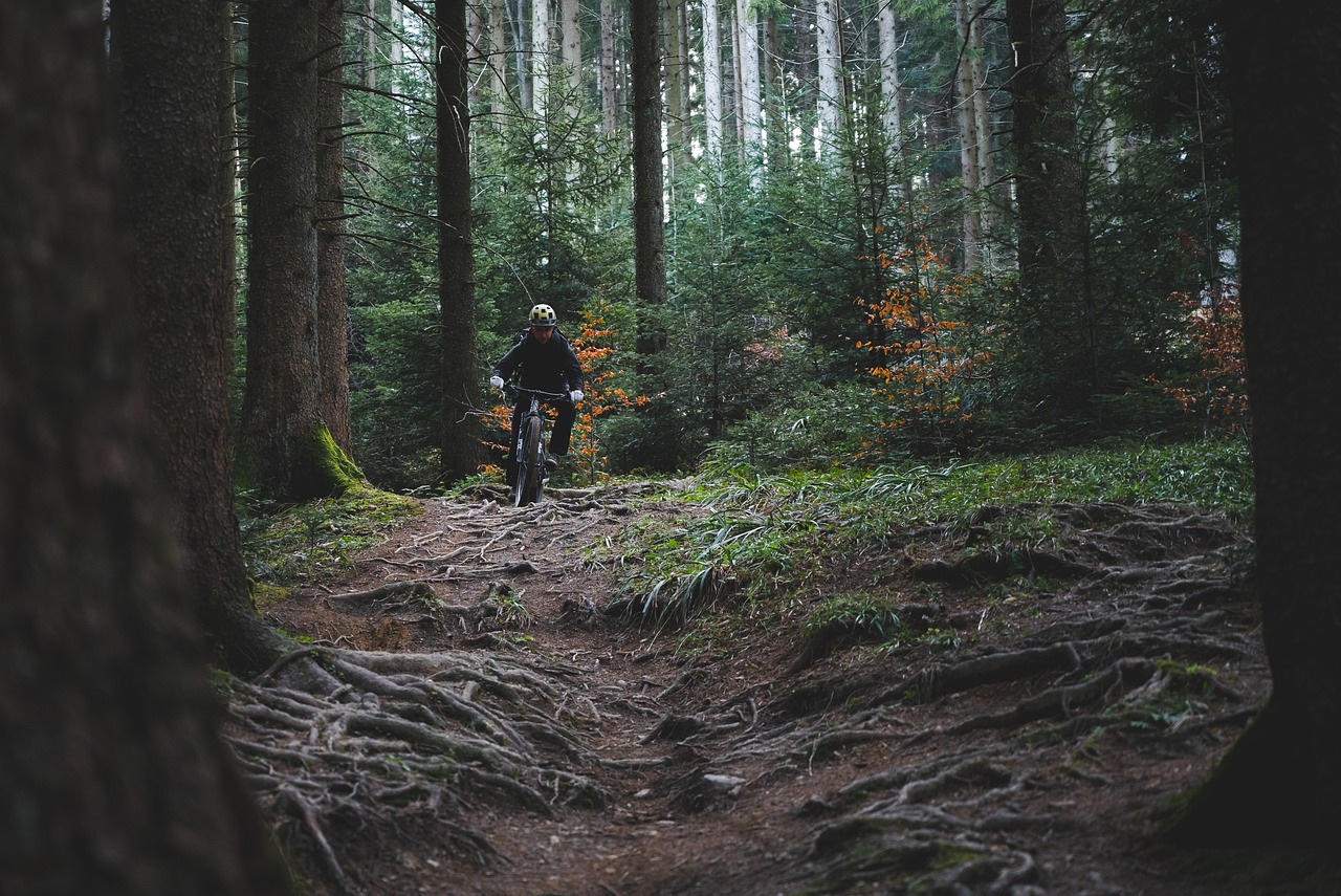 Trail Riding 6725753 1280