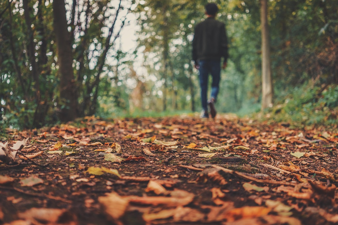 Autumn 1869160 1280