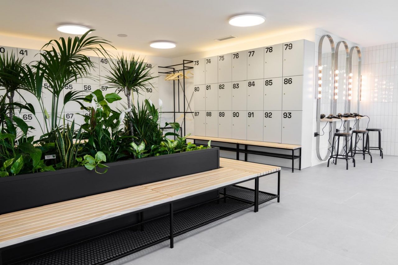 04ffaf5b 54a8 4e08 81de A793bafbf79d