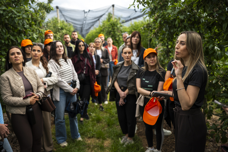 Fitpass & Wine By Todor Milivojevic 46