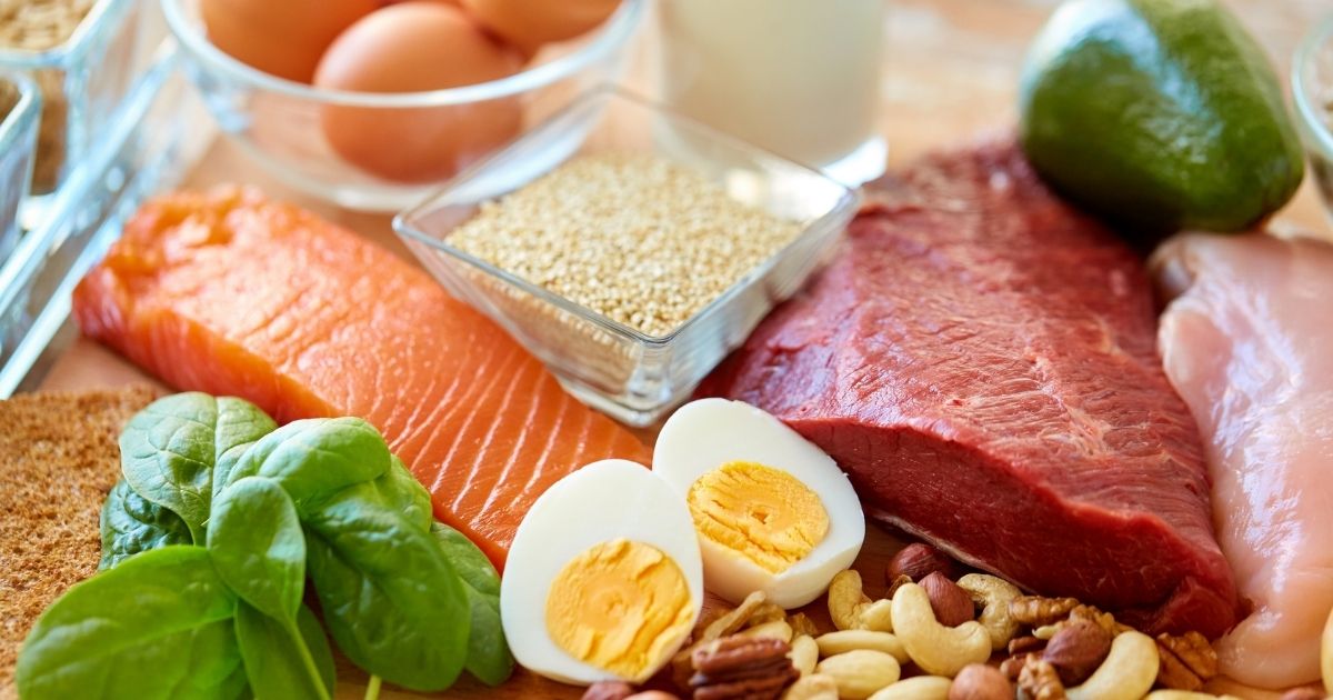 Izvori Proteina